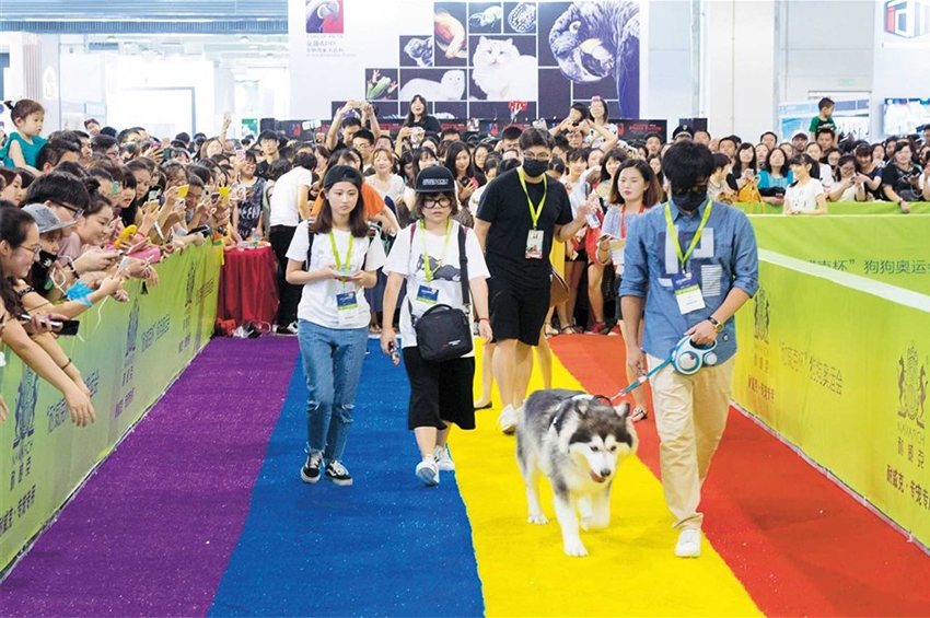 "Pet Fair Asia" ประสบความสำเร็จอย่างท่วมท้น