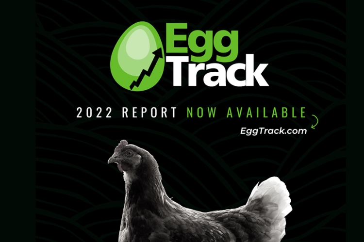 รายงานไข่ไก่ไร้กรง EggTrack ฉบับที่หก ชี้ให้เห็นถึงความคืบหน้าของไข่ไก่ไร้กรงทั่วโลก