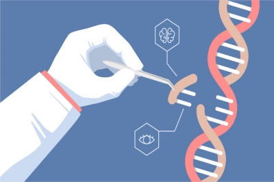 Merck รับสิทธิบัตรสหรัฐ วิธีการปรับแต่งจีโนมเทคโนโลยี CRISPR